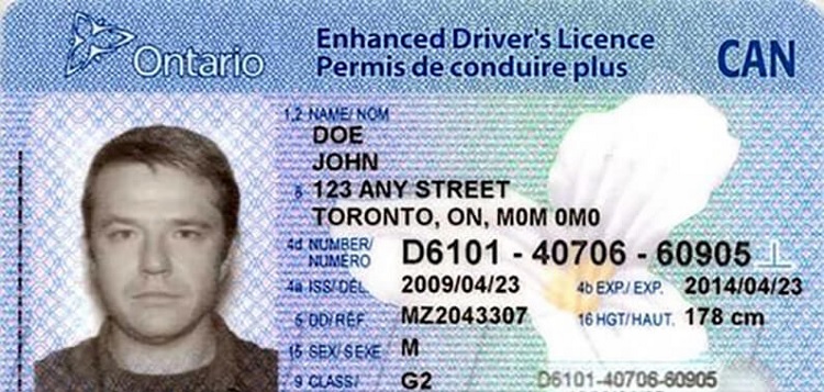 Driver's License